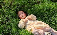 非会员试看5分钟视频